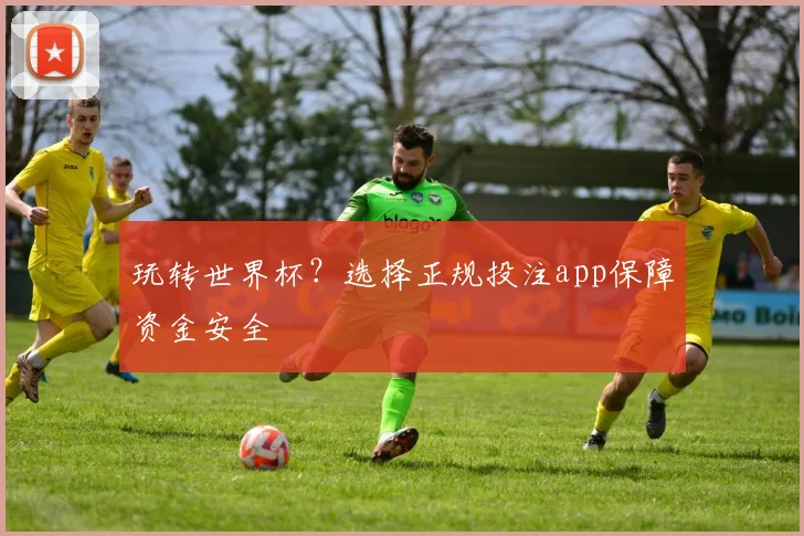 玩转世界杯？选择正规投注app保障资金安全