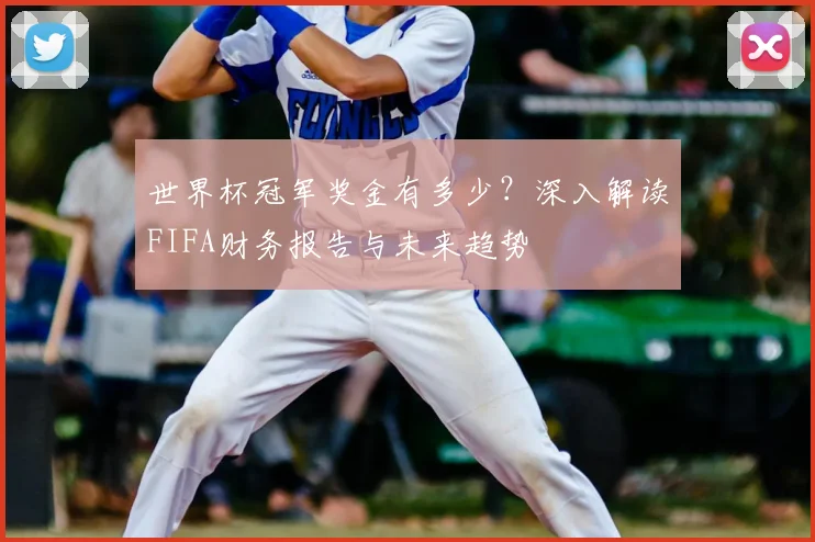 世界杯冠军奖金有多少?深入解读FIFA财务报告与未来趋势