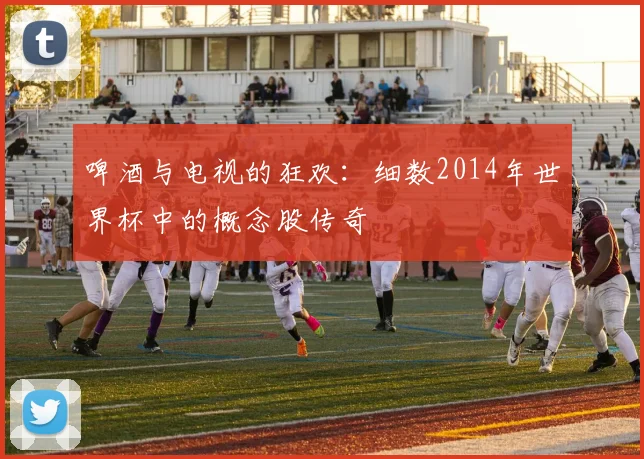 啤酒与电视的狂欢:细数2014年世界杯中的概念股传奇