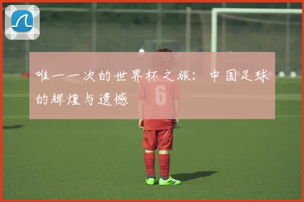 唯一一次的世界杯之旅:中国足球的辉煌与遗憾