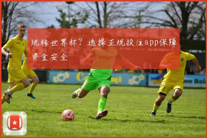 玩转世界杯？选择正规投注app保障资金安全